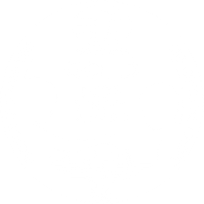 Gold FIDE School Award